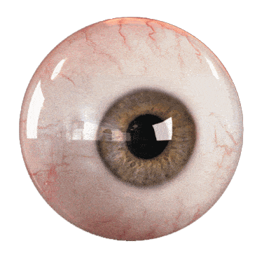 eye.gif